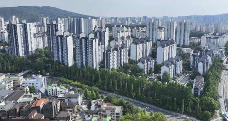 분당 선도지구 재건축 진행상황